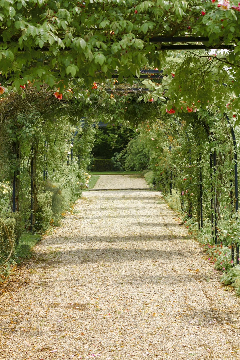 Concrete pathway winding through a flower garden