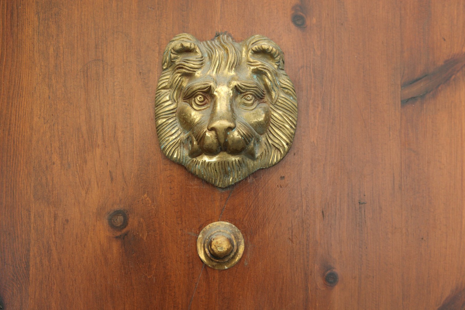 Brass lion-head door knocker on a wooden door